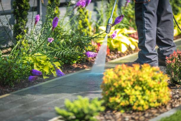 Best Fence Cleaning  in Lawndale, CA